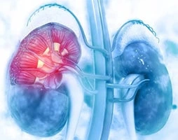 Kidney surgery in Rajasthan